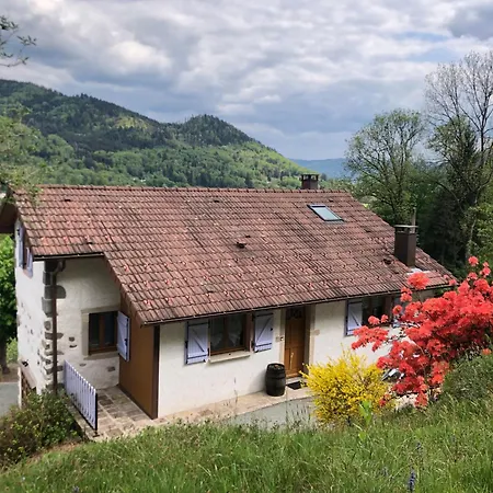 Les Azalees * Rupt-sur-Moselle