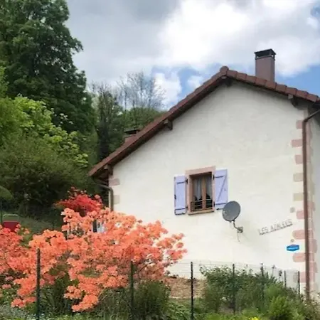 Les Azalees Rupt-sur-Moselle